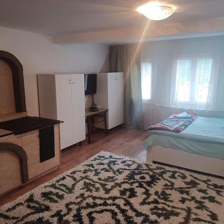 Casa Bucovina Dorna Candrenilor Ascutitele Εξωτερικό φωτογραφία