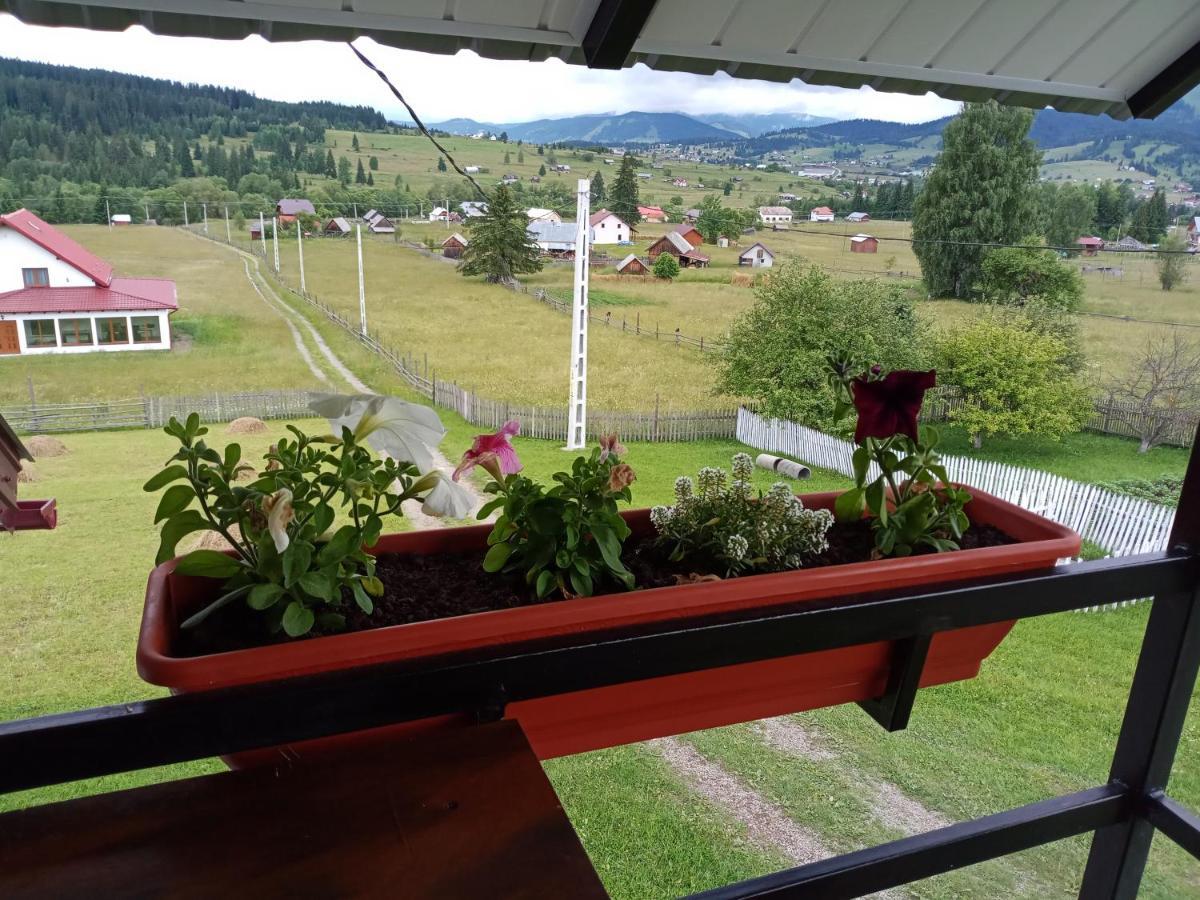 Casa Bucovina Dorna Candrenilor Ascutitele Εξωτερικό φωτογραφία