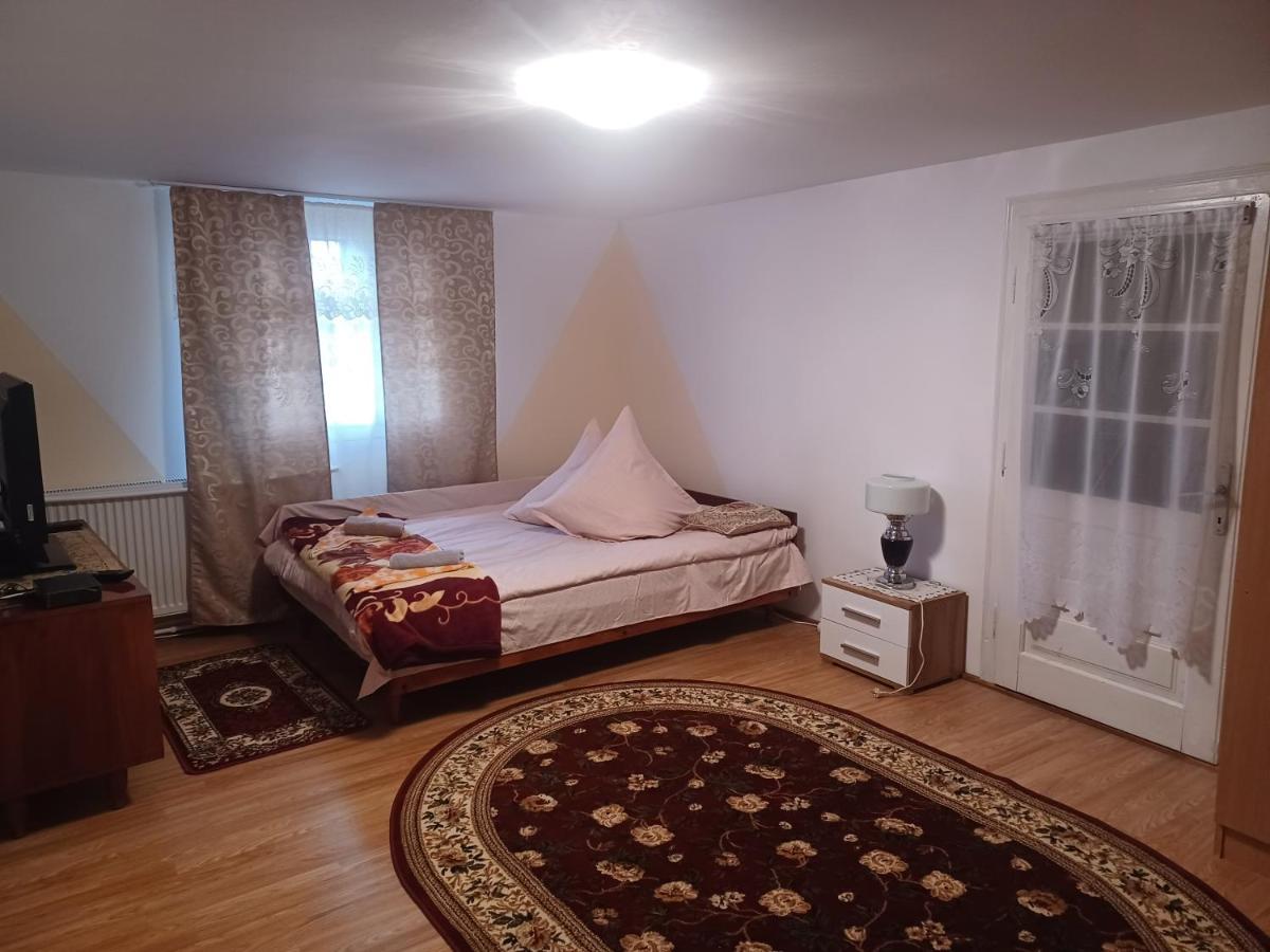 Casa Bucovina Dorna Candrenilor Ascutitele Εξωτερικό φωτογραφία