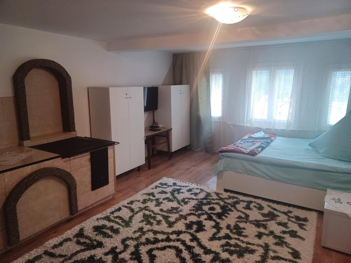 Casa Bucovina Dorna Candrenilor Ascutitele Εξωτερικό φωτογραφία