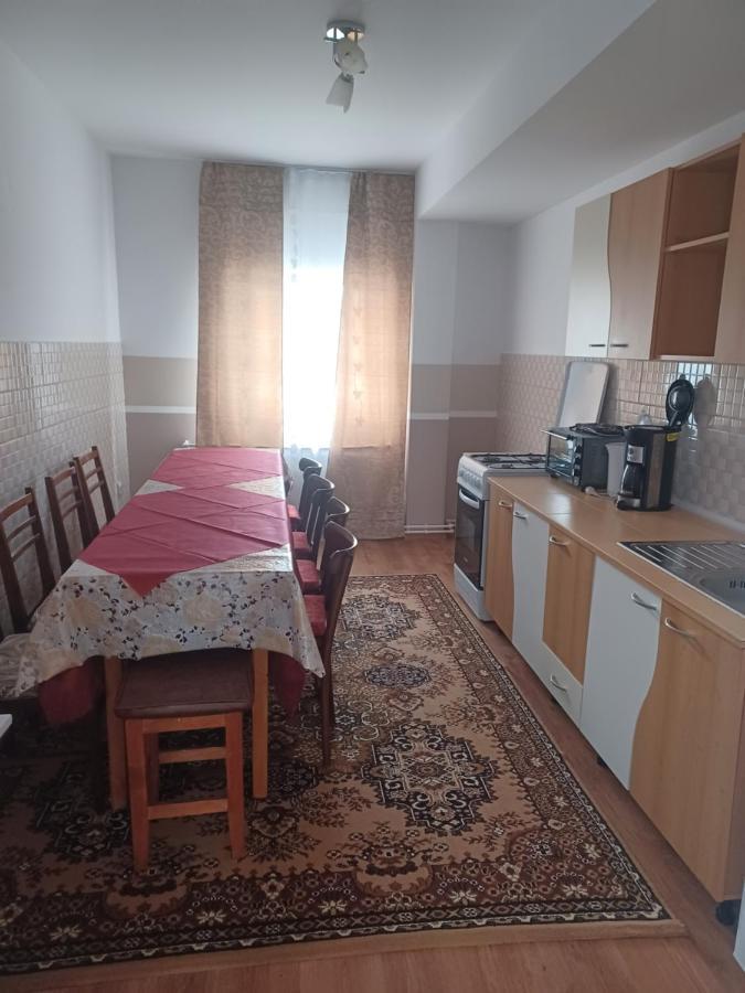 Casa Bucovina Dorna Candrenilor Ascutitele Εξωτερικό φωτογραφία