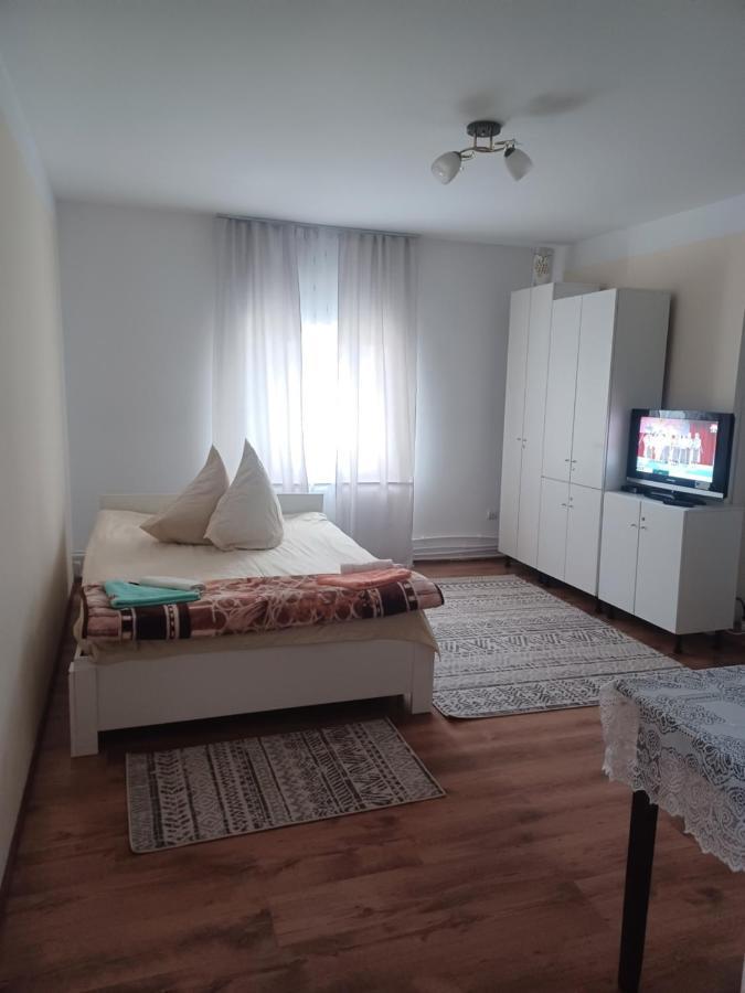 Casa Bucovina Dorna Candrenilor Ascutitele Εξωτερικό φωτογραφία